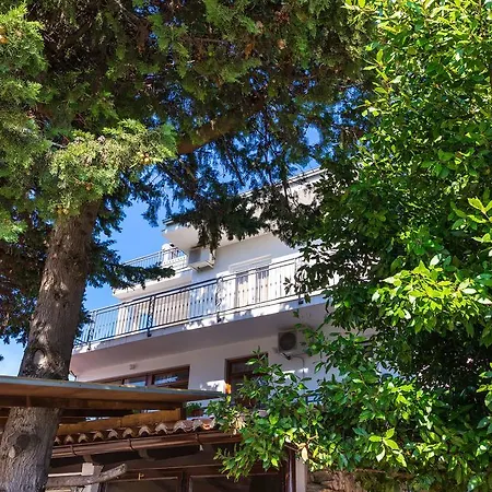 Solomir * Задар