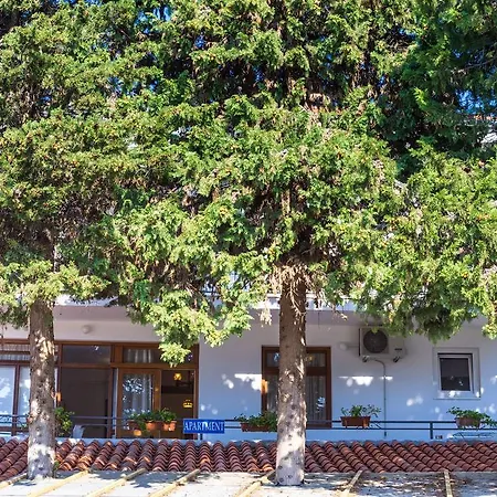 Apartman Solomir *